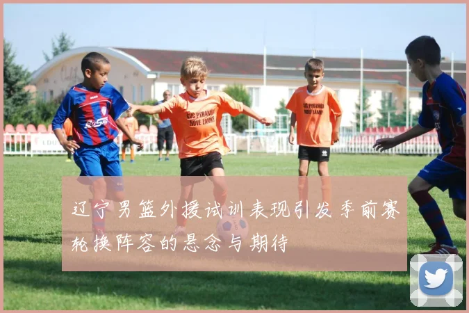 辽宁男篮外援试训表现引发季前赛轮换阵容的悬念与期待